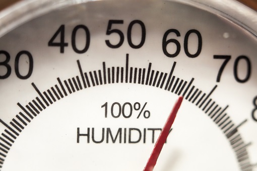 humidity gauge
