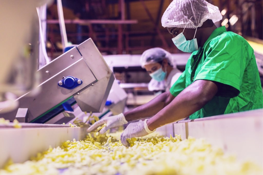 workers-checking-the-quality-of-freshly-prepared-snacks-at-a-factory-picture-id1150882713 (1)